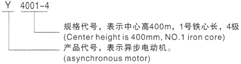 西安泰富西玛Y系列(H355-1000)高压YE2-225M-4三相异步电机型号说明